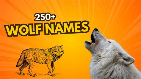 250+ Cool & Funny Wolf Names + AI Generator