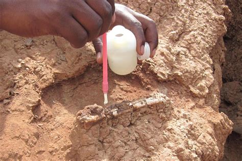 Tooth Fossils Fill 6-Million-Year-Old Gap in Primate Evolution | UNLV