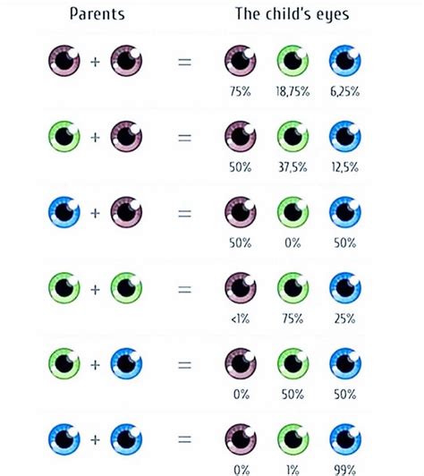 Eye color chart based on parents eye color | SwipeFile