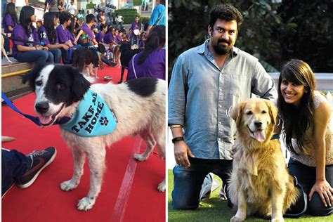 Pet Adoption | LBB, Delhi