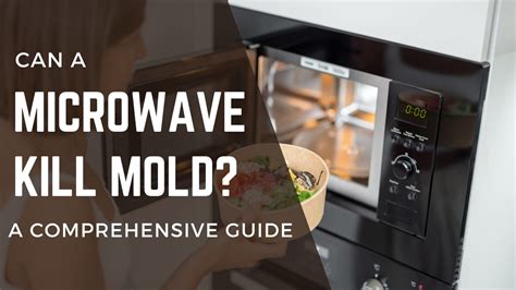 Can A Microwave Kill Mold? A comprehensive guide - FOODANDKITCHENAPPLIANCES