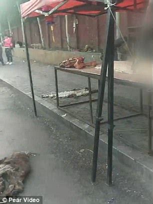 Image result for Dogs Getting Slaughtered