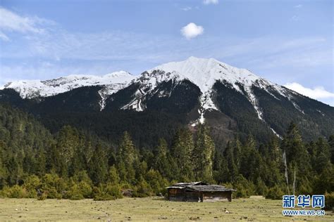 阶段性放宽首套房贷利率下限，哪些城市符合央行新政要求？|住房|LPR|首套房贷_新浪新闻