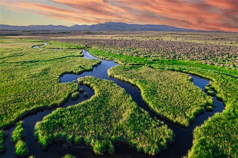 Hunting Ranches for Sale | Hunting Properties | Live Water Properties