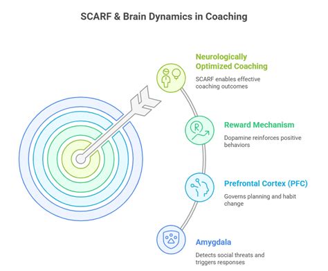 Image result for Scarf Model Explained