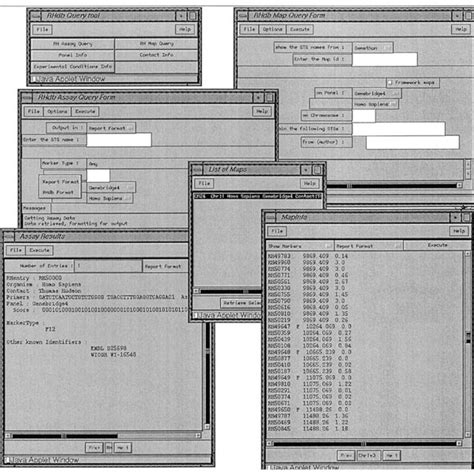 Image result for Rebdb Java