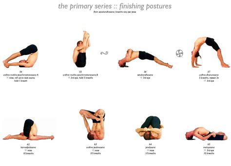 Unveiling 50 Yoga Asanas: A Journey to Physical, Mental, and Spiritual Well-being