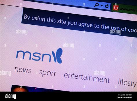 Msn.com Search Engine 的图像结果