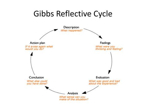 Models of Reflective Learning 的图像结果