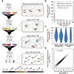 Image result for Split Pool Barcoding