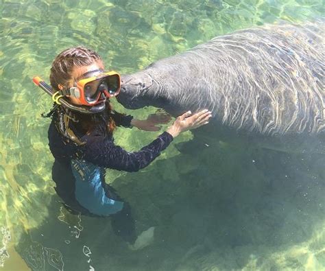 SWIM WITH MANATEES (2025) All You Need to Know BEFORE You Go (with ...