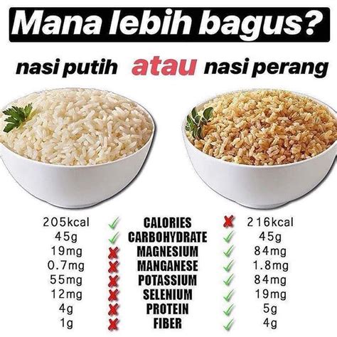 Kalori Nasi dan Ayam: Rencana Makan yang Sehat dan Memuaskan