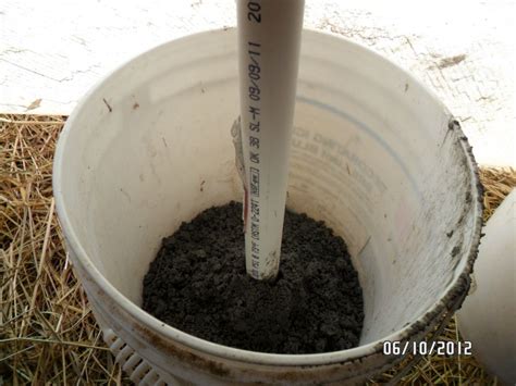 Image result for Pole Bending Tips