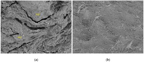Authigenic Mg-Clay Minerals Formation in Lake Margin Deposits (the ...