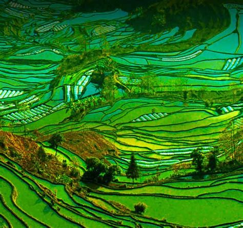 LG Nanocell AI ThinQ TV - Realistic Wide Angle Viewing | LG India