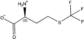 Exploring Proteus mirabilis Methionine tRNA Synthetase Active Site ...