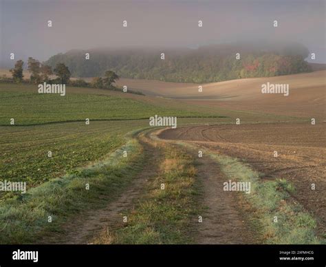 Picardy farm hi-res stock photography and images - Alamy