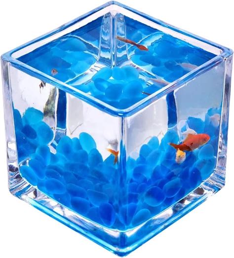 Amazon.com: ZSG642KGF Fish Tank Tank for Aquariums Glass Square Fish ...