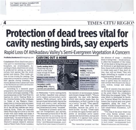 Paper Clippings | Sacon