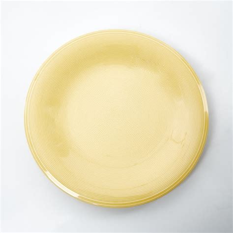 Buy Colour Refresh Rhythm Porcelain Striped Dinner Plate - 28cm from ...