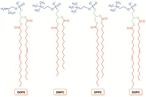 Revisiting Current Photoactive Materials for Antimicrobial Photodynamic ...