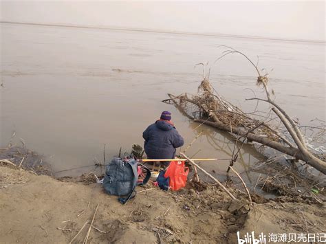 郑州黄河国家湿地公园，塌方了很多湿地 - 哔哩哔哩