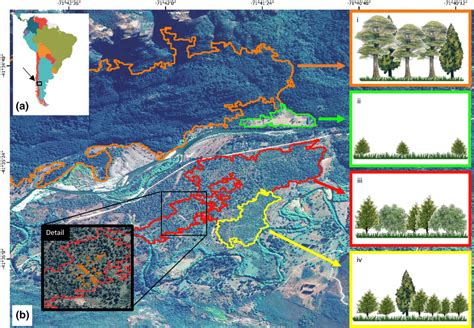 Image result for Vegetations Field Study Examples