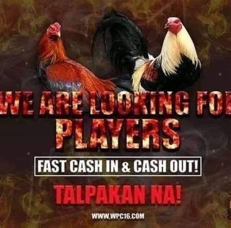 Pitmaster Sabong Tips 的图像结果