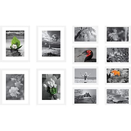 Amazon Brand - Solimo Collage Set of 12 Photo Frames ( 5 X 7 Inch - 8 ...