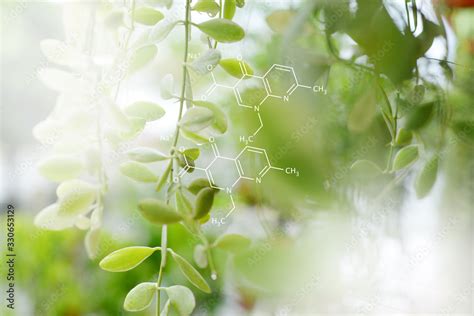 Biology laboratory nature and science, Plants with biochemistry ...