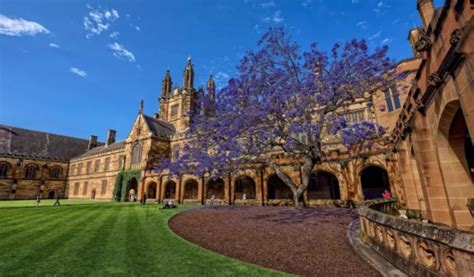 悉尼大学成最受中国学生欢迎澳洲高校