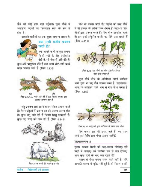 Class 6 Science Chapter 11 的图像结果