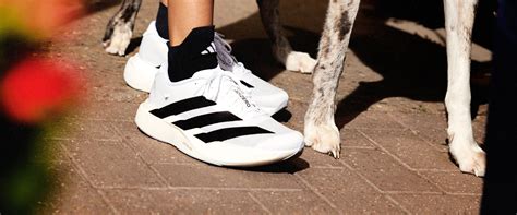 First Look at the adidas adizero EVO SL