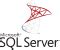 Image result for SQL Relay