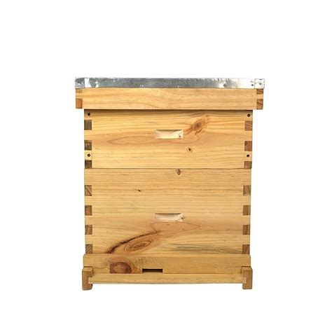 DTC 20 Frame Langstroth Beehive Box for Beekeeping, Farmhouse, Backyard ...