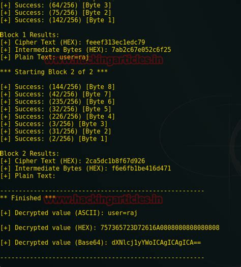 Padding Hacks 的图像结果