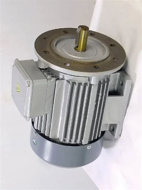 Electric Motors - Gear Brake Motor Manufacturer from Ahmedabad