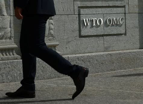 WTO Reform 的图像结果