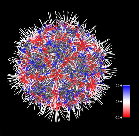Electrostatic map of the adeno-associated virus with scale | National ...