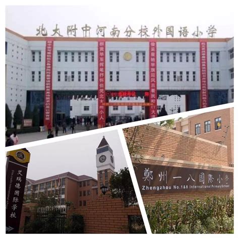 郑州排名前十私立小学：艾瑞德国际第七，第一重视国学_小学_第一排行榜