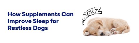 How Supplements Can Improve Sleep for Restless Dogs – K9 Vitality