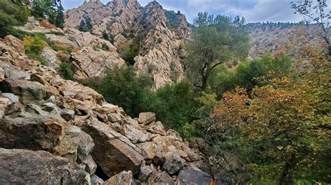 Heughs Canyon Trail - Utah | AllTrails