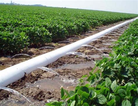 Homemade PVC Pipe Irrigation 的图像结果