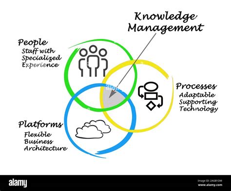 Knowledge Management Introduction 的图像结果