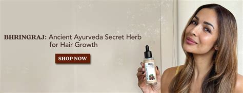 The Living Co & Bhringraj: – THE LIVING CO.