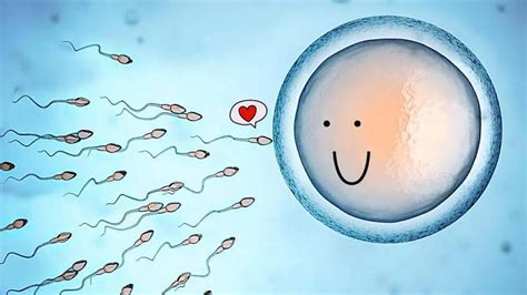 最易怀孕的姿势_试管婴儿低评分胚胎的可能性分析_排行榜