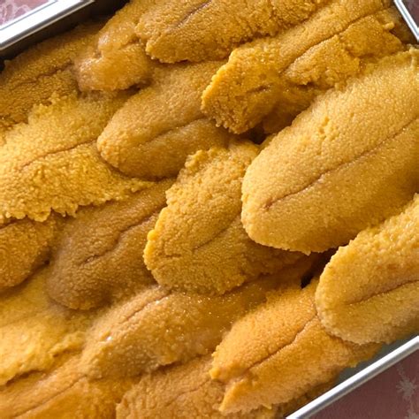 Santa Barbara Sea Urchin | Buy Sea Urchin Roe Uni California | Kai Gourmet