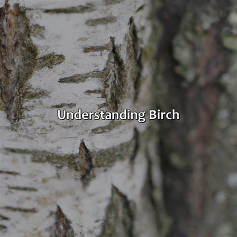 What Color Is Birch - colorscombo.com