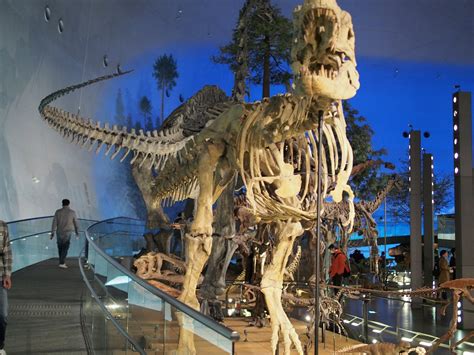 FUKUI PREFECTURAL DINOSAUR MUSEUM (2025) All You Need to Know BEFORE ...