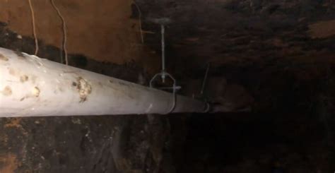 PVC Pipe Replacement 的图像结果